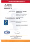 ISO9001質量管理體系標準